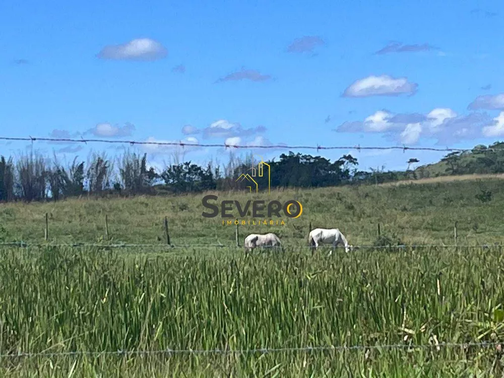 Fazenda-Sítio-Chácara, 13 hectares - Foto 37