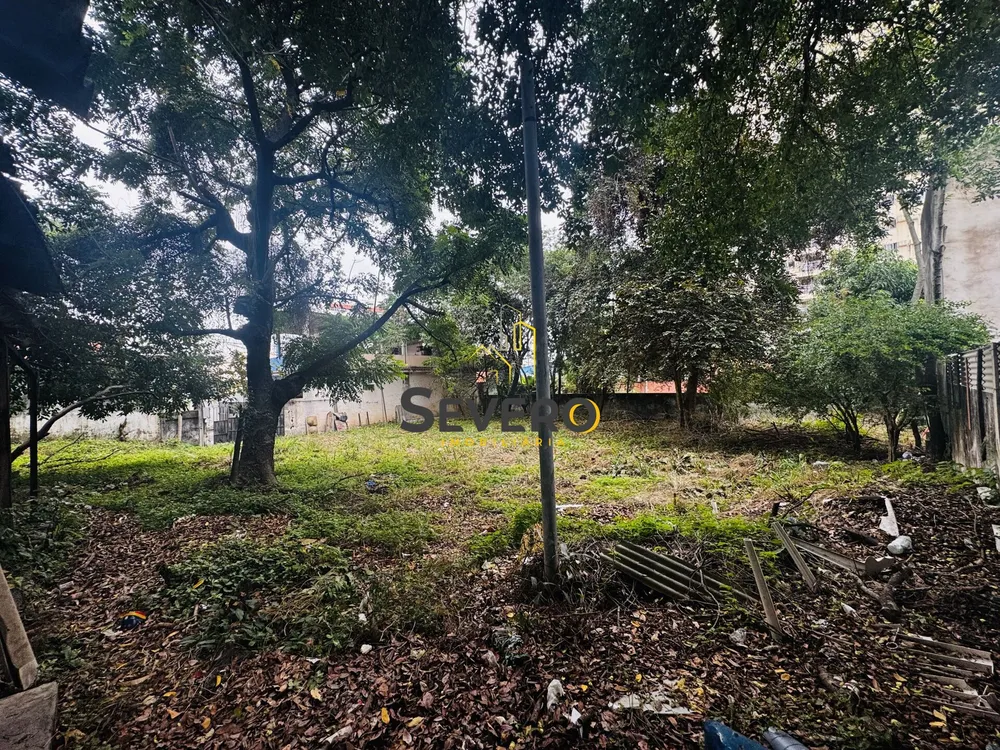 Casa, 5 quartos, 300 m² - Foto 48