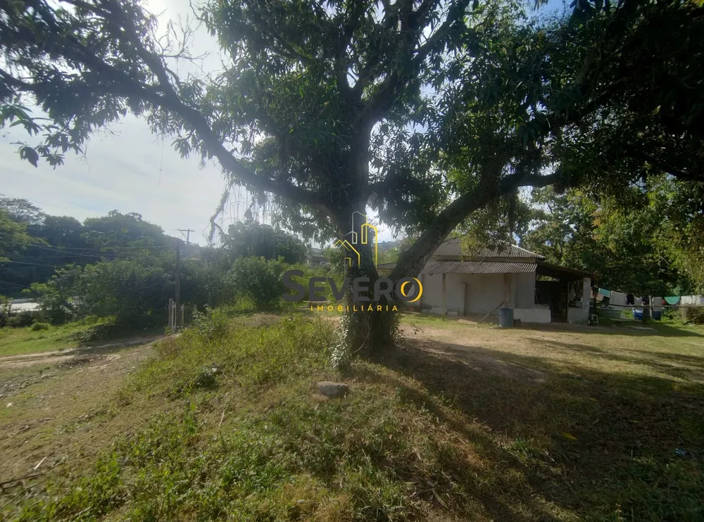 Terreno, 2 hectares - Foto 9