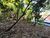 Terreno, 2500 m² - Foto 4