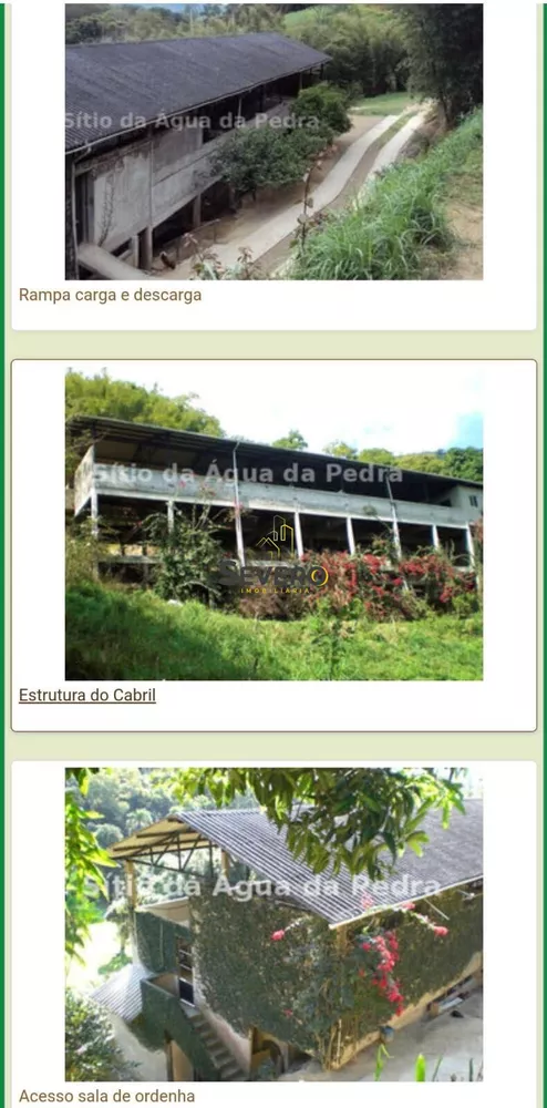 Sítio, 4 quartos, 6 hectares - Foto 28