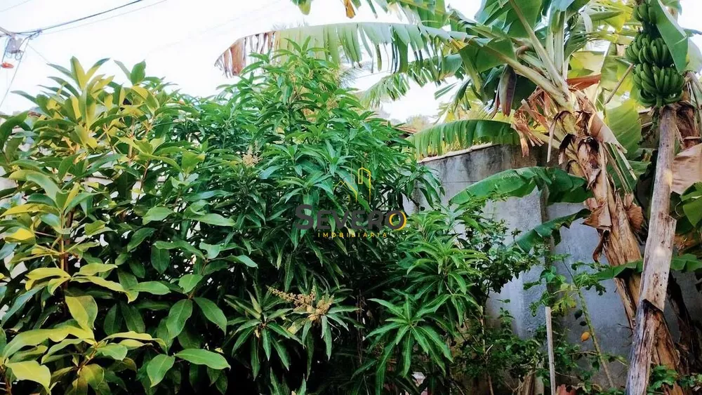 Casa, 5 quartos, 250 m² - Foto 18