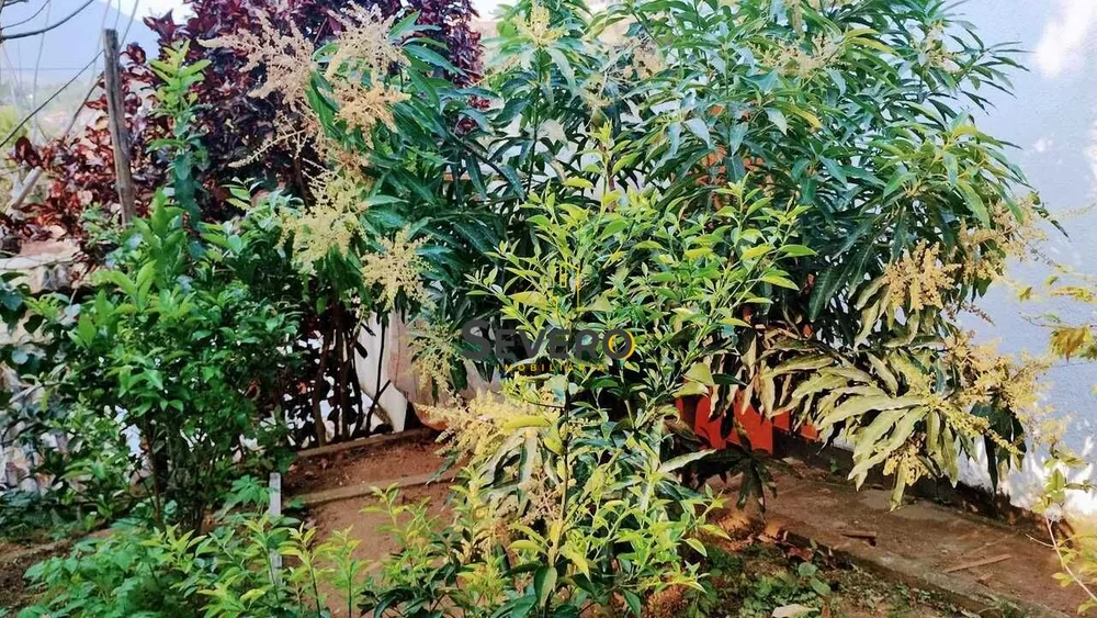 Casa, 5 quartos, 250 m² - Foto 19