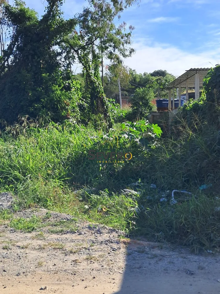 Terreno, 600 m² - Foto 9