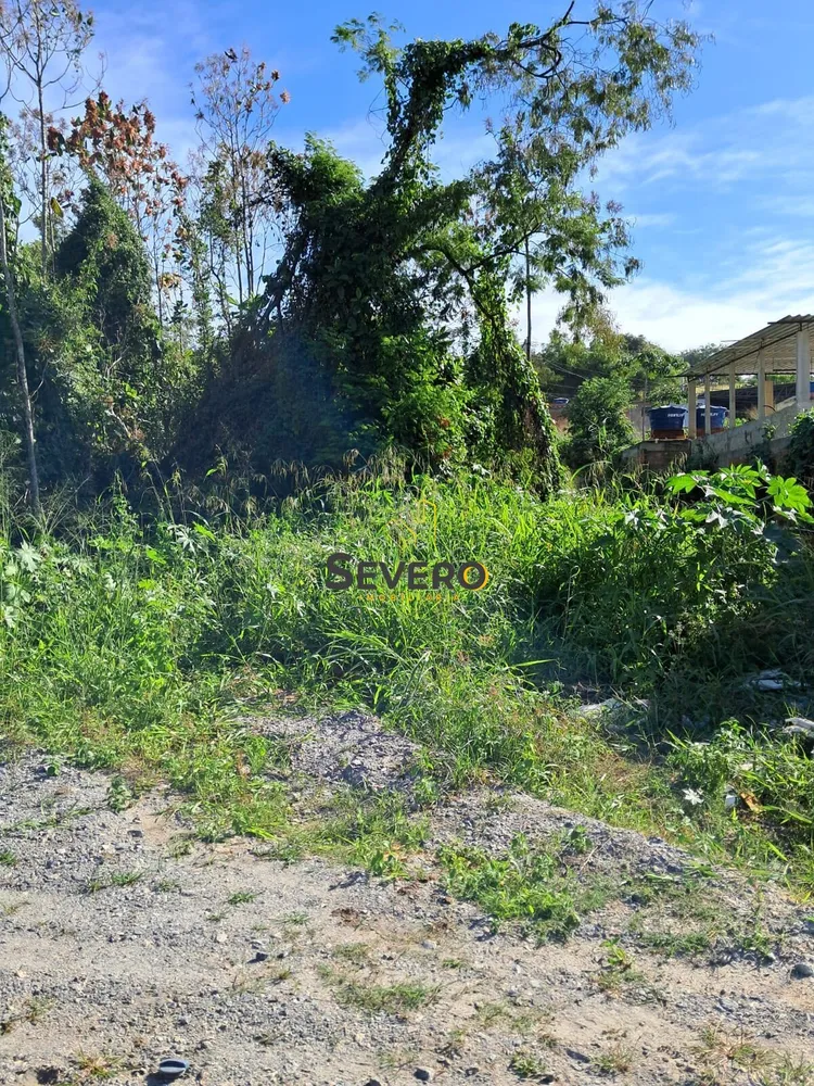 Terreno, 600 m² - Foto 11