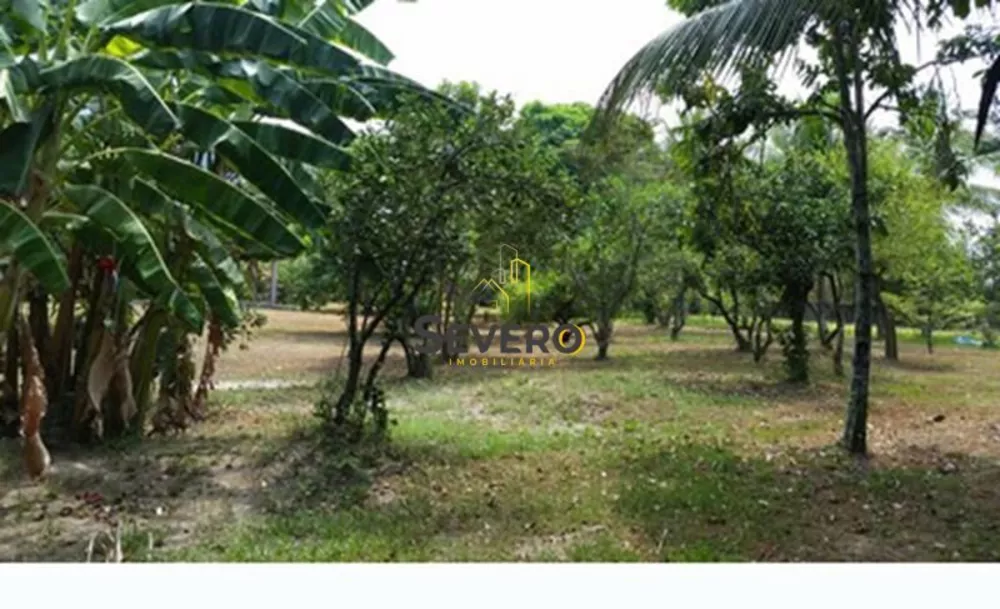 Sítio, 5 quartos, 4500 m² - Foto 21