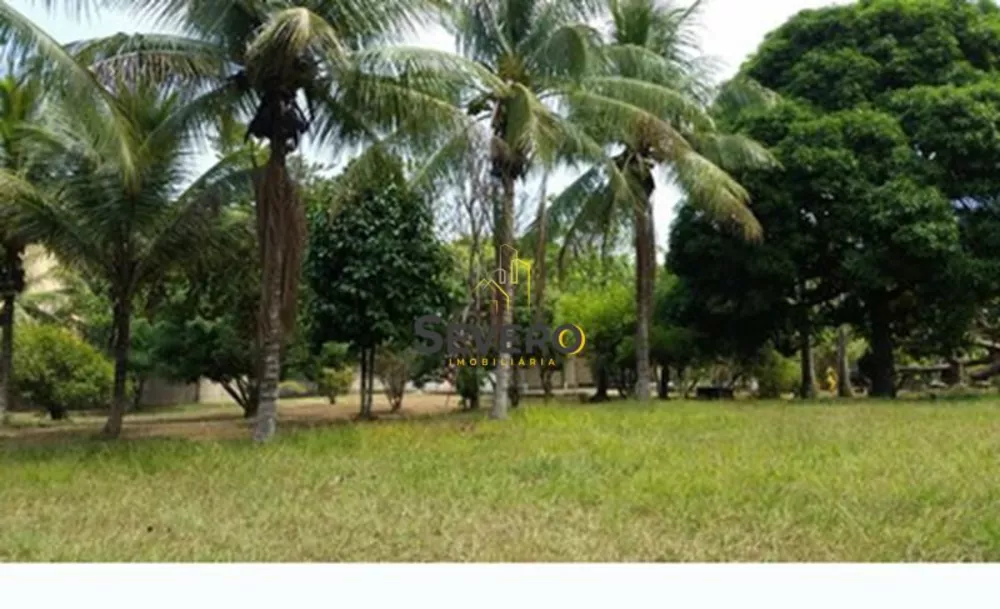 Sítio, 5 quartos, 4500 m² - Foto 1