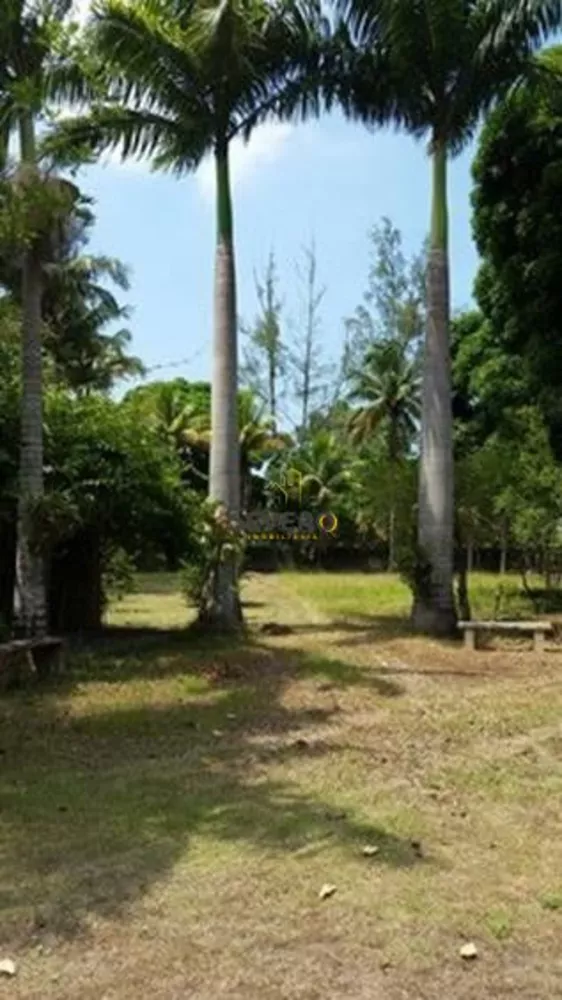 Sítio, 5 quartos, 4500 m² - Foto 12