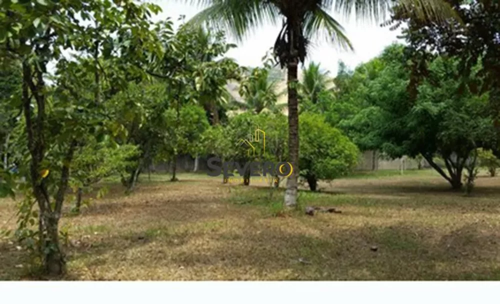 Sítio, 5 quartos, 4500 m² - Foto 20