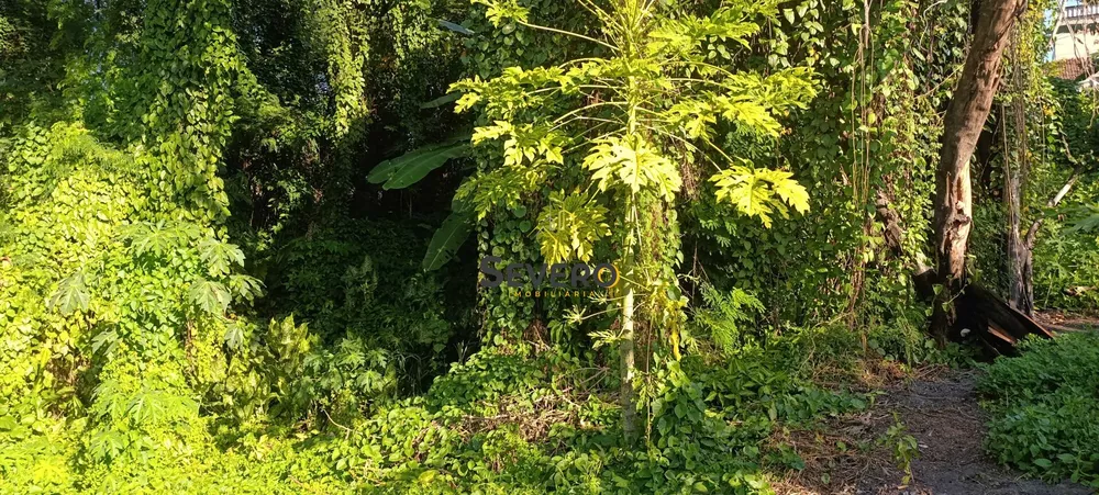 Terreno, 3188 m² - Foto 13