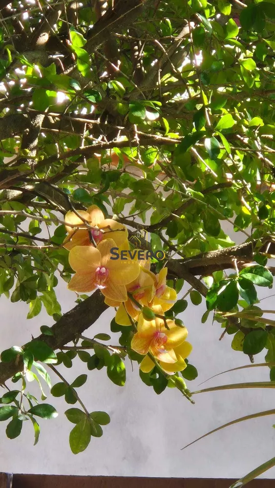 Casa, 4 quartos, 384 m² - Foto 23