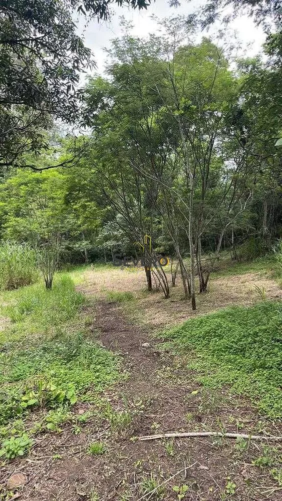 Terreno, 3 hectares - Foto 14