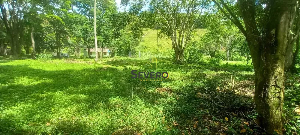 Terreno, 3 hectares - Foto 8