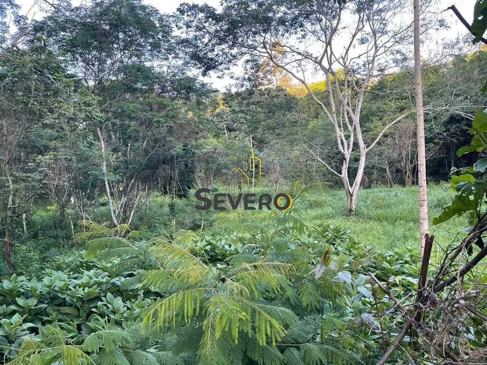 Terreno, 3 hectares - Foto 9