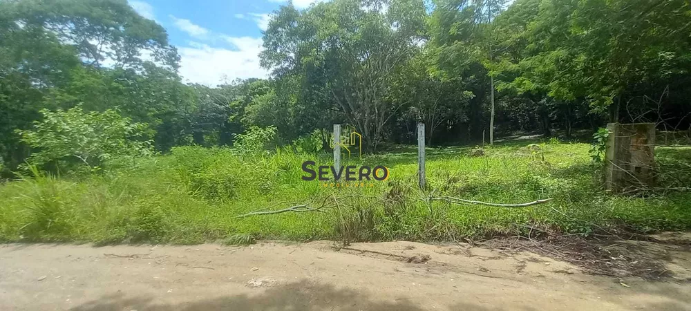 Terreno, 3 hectares - Foto 7