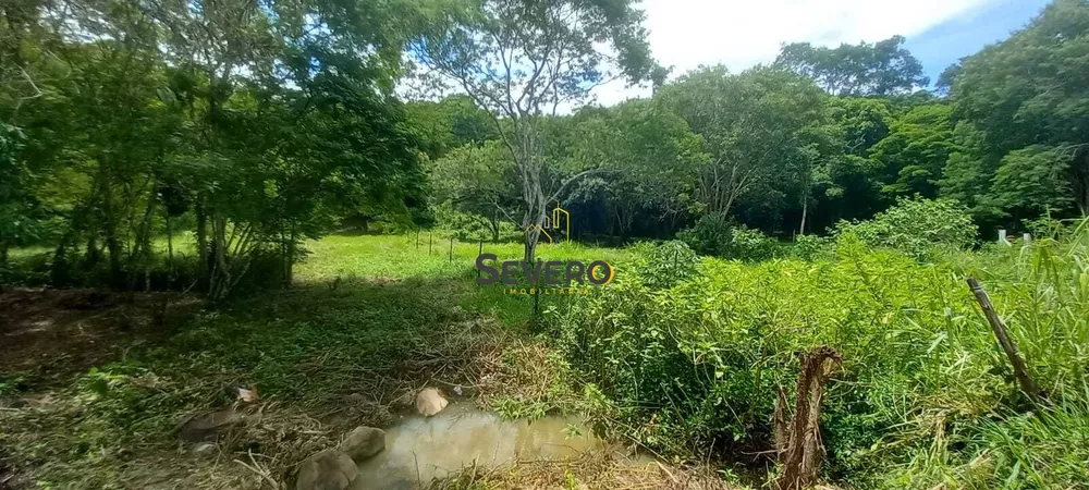 Terreno, 3 hectares - Foto 5