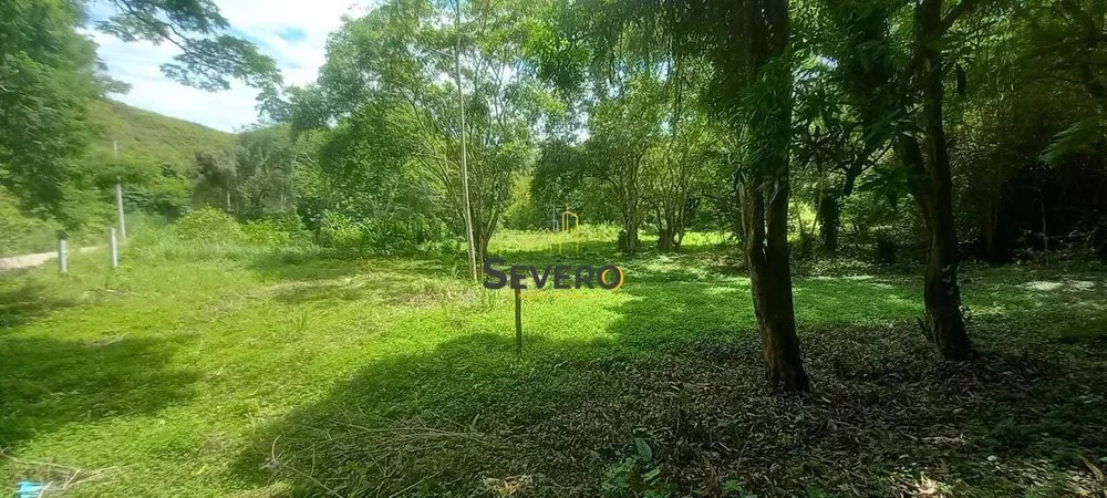 Terreno, 3 hectares - Foto 6