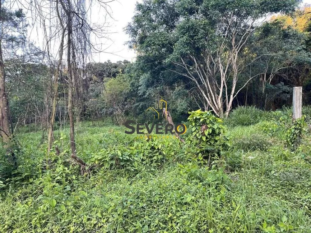 Terreno, 3 hectares - Foto 4