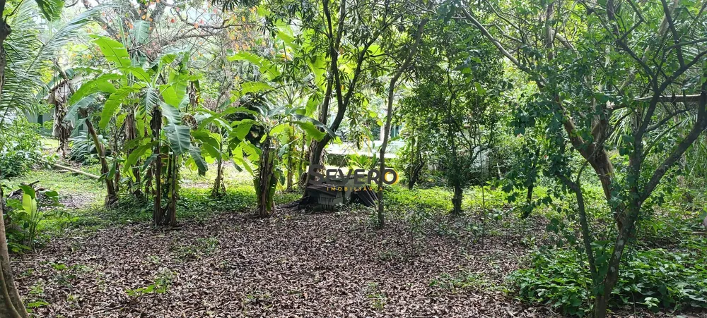 Chácara, 3 quartos, 3100 m² - Foto 78