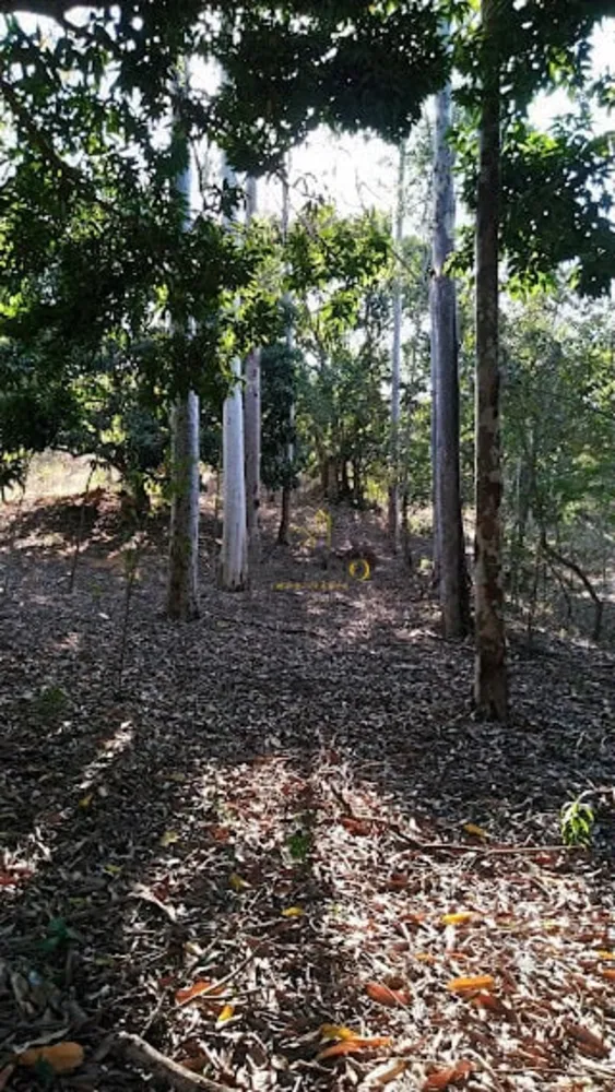 Sítio, 5 quartos, 1 hectares - Foto 10
