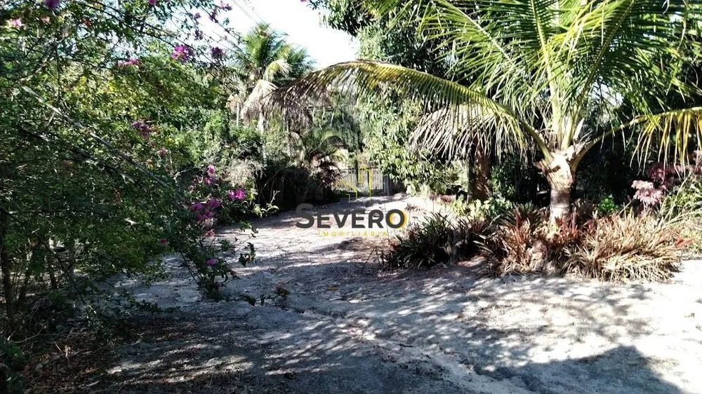 Sítio, 5 quartos, 1 hectares - Foto 3
