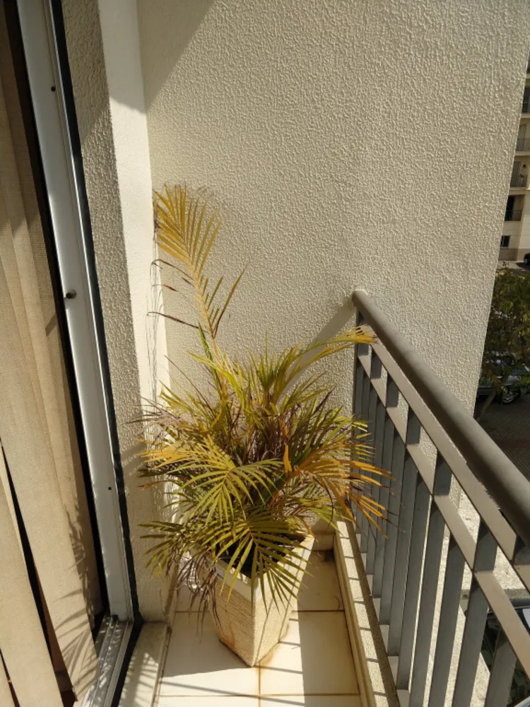 Apartamento, 2 quartos, 48 m² - Foto 14