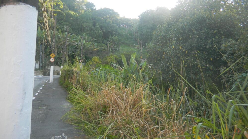 Terreno, 1356 m² - Foto 4