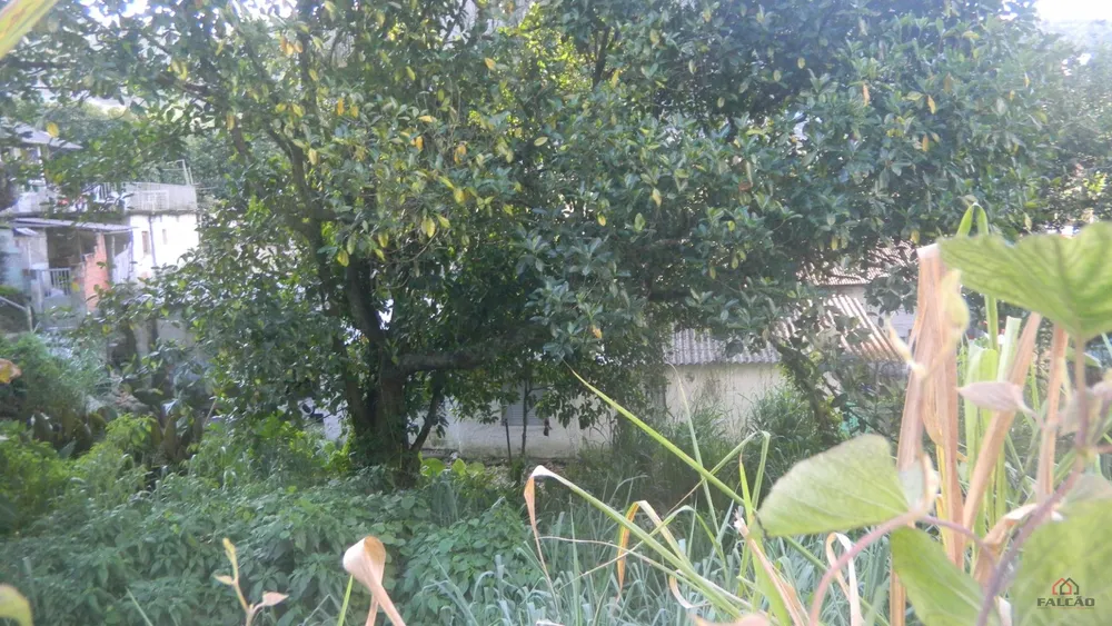 Terreno, 1356 m² - Foto 9