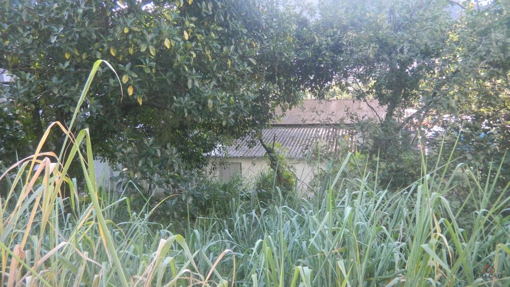 Terreno, 1356 m² - Foto 3