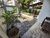 Sobrado, 4 quartos, 227 m² - Foto 6