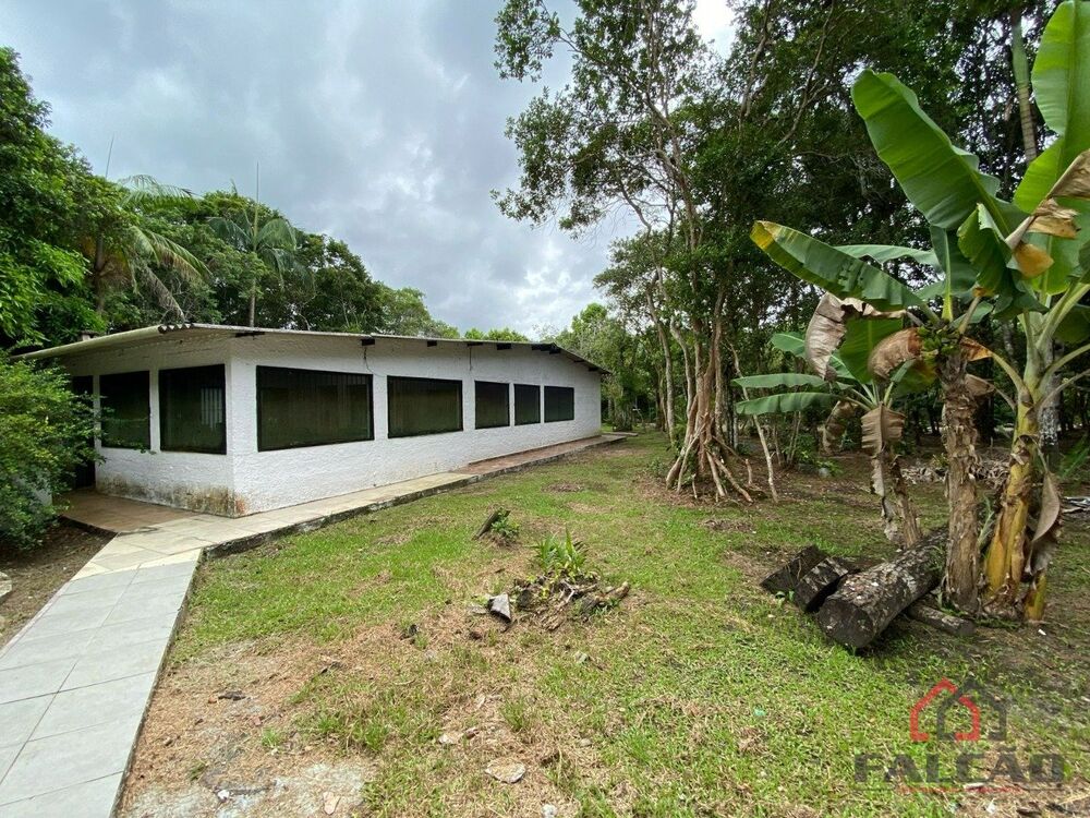 Sítio à venda com 3 quartos, 60m² - Foto 5