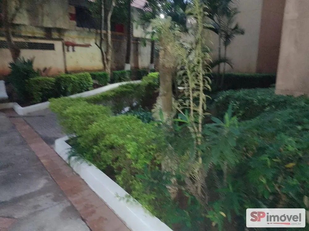 Apartamento, 2 quartos, 45 m² - Foto 3