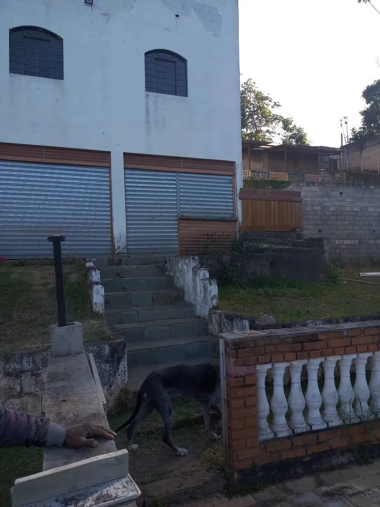 Chácara, 5 quartos, 5000 m² - Foto 4