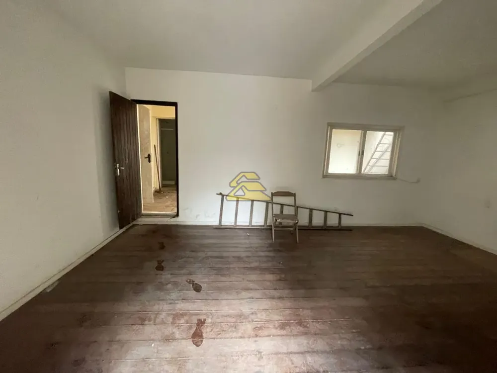 Casa, 4 quartos, 444 m² - Foto 12