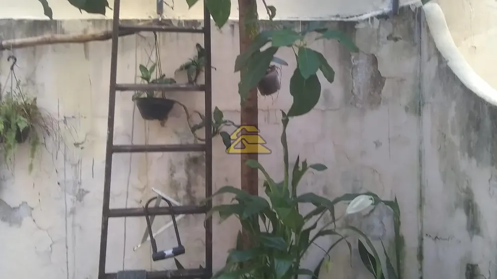 Casa, 6 quartos, 360 m² - Foto 36
