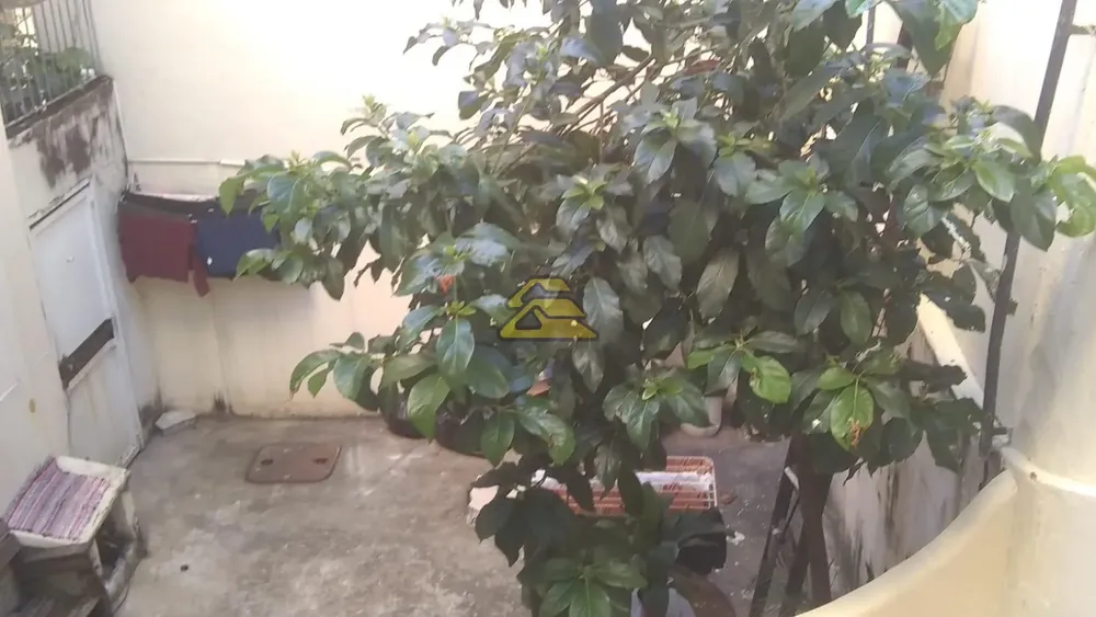 Casa, 6 quartos, 360 m² - Foto 37