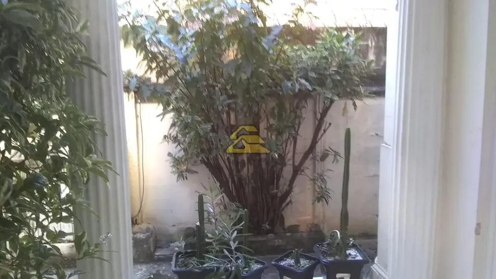 Casa, 6 quartos, 360 m² - Foto 4