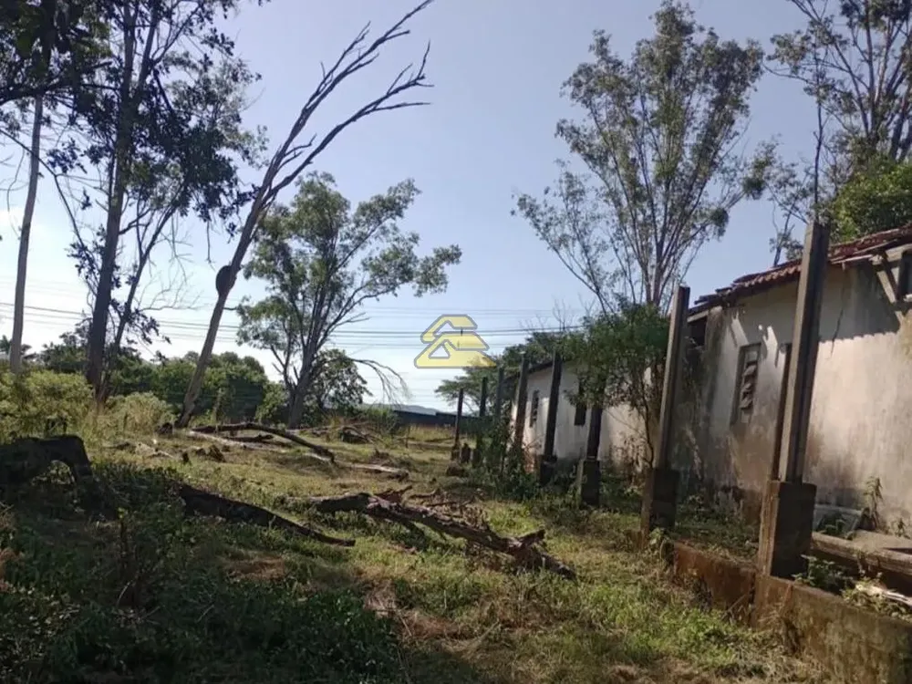 Terreno, 10 hectares - Foto 3
