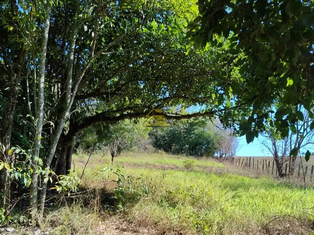 Terreno, 10 hectares - Foto 4