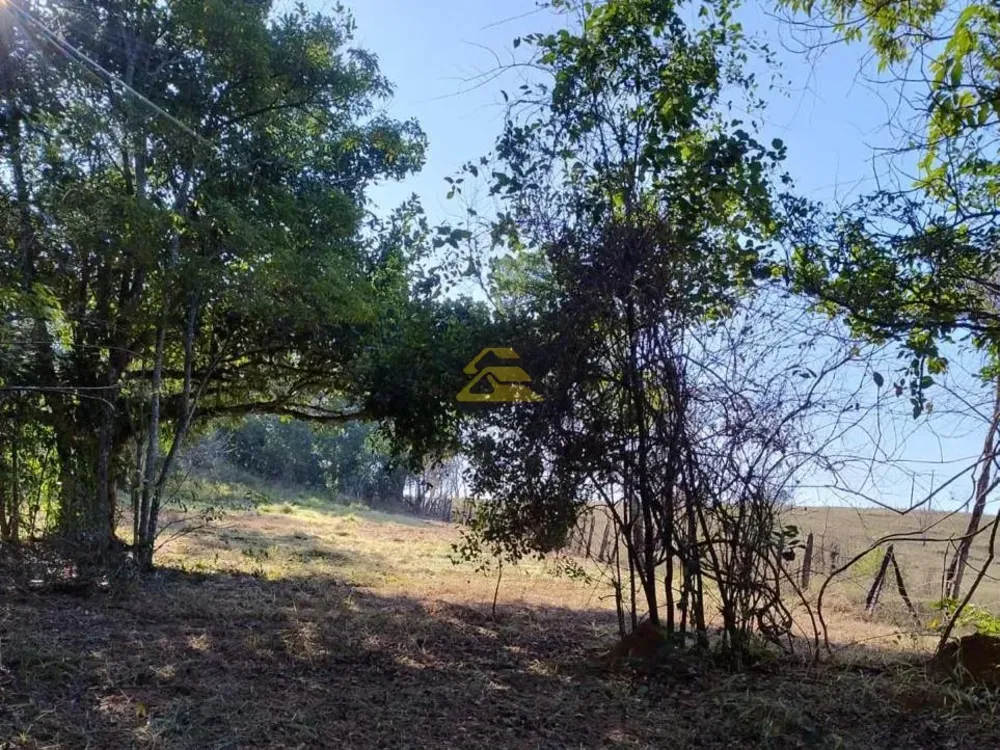 Terreno, 10 hectares - Foto 23
