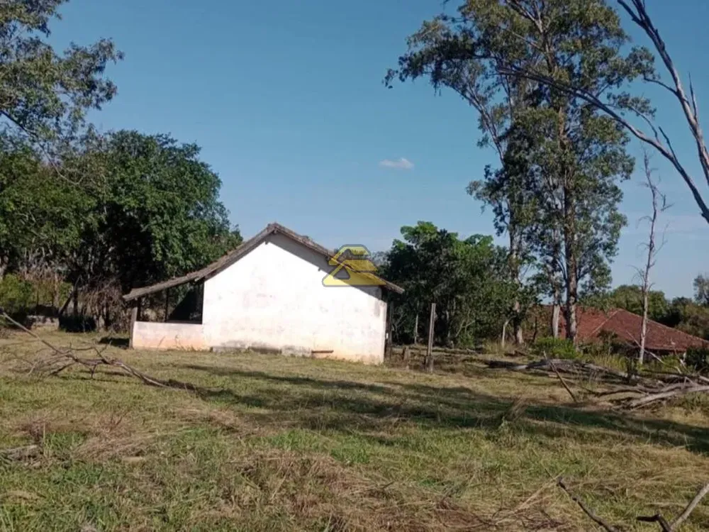 Terreno, 10 hectares - Foto 15
