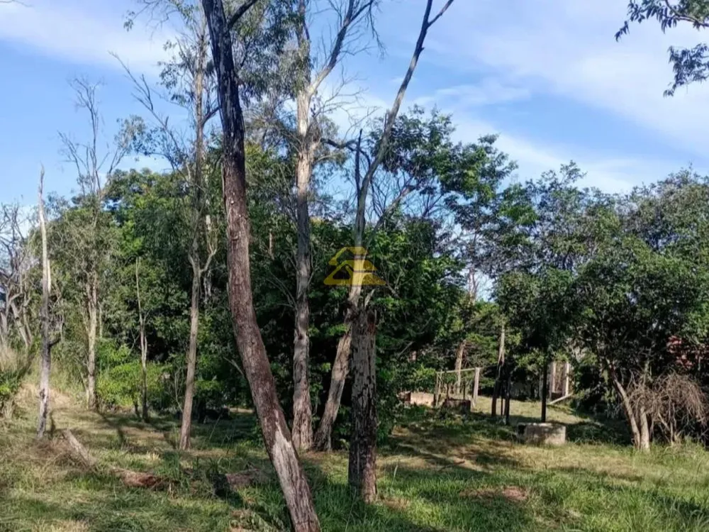 Terreno, 10 hectares - Foto 13