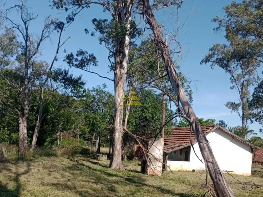 Terreno, 10 hectares - Foto 9