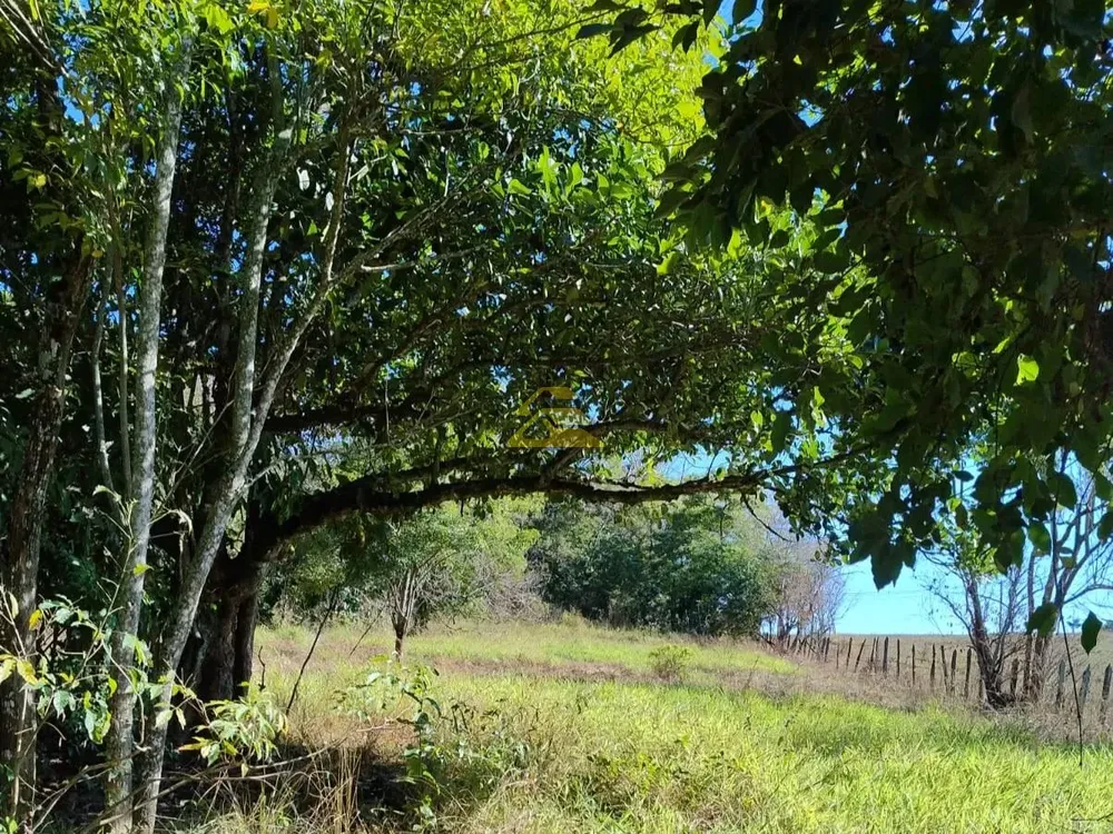 Terreno, 10 hectares - Foto 12