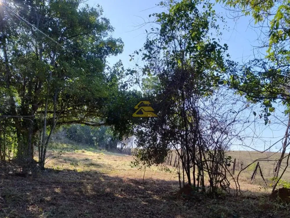 Terreno, 10 hectares - Foto 26