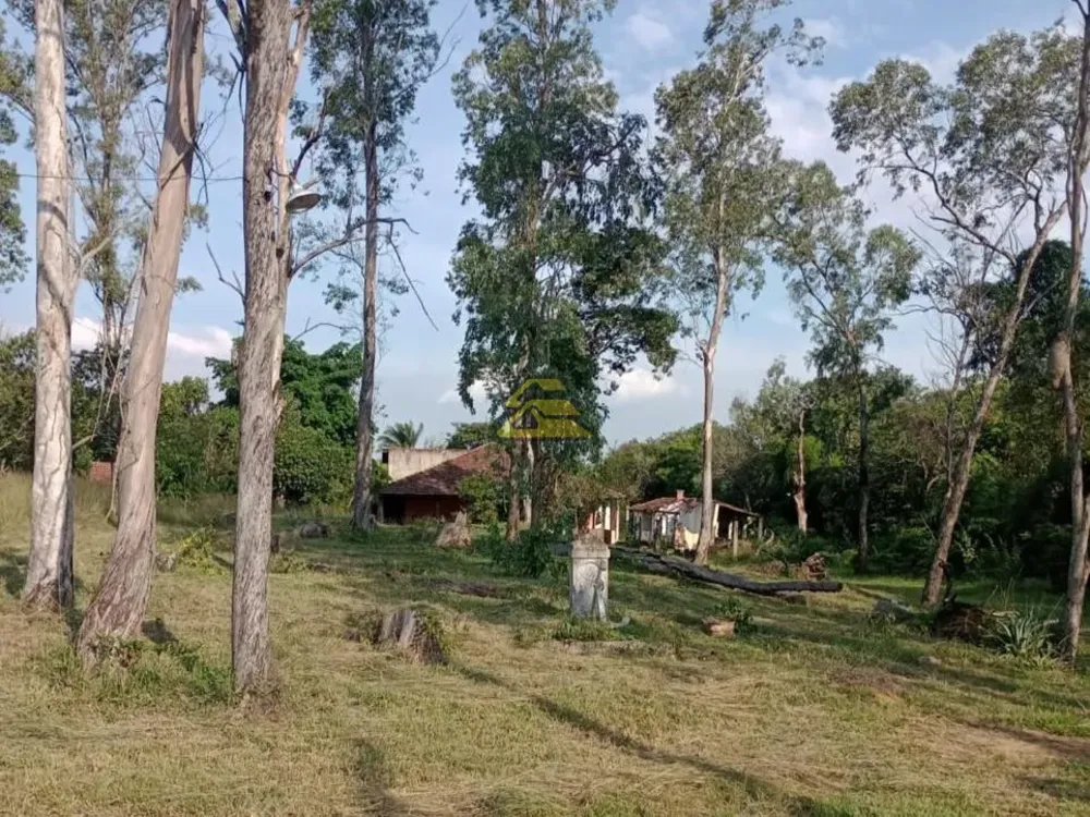 Terreno, 10 hectares - Foto 14