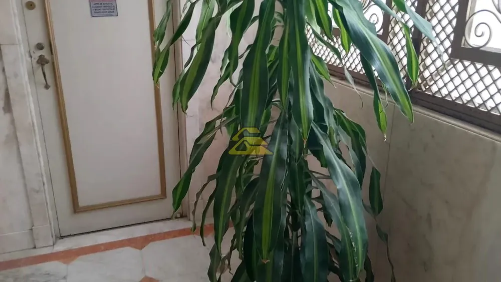 Apartamento, 6 quartos, 305 m² - Foto 38