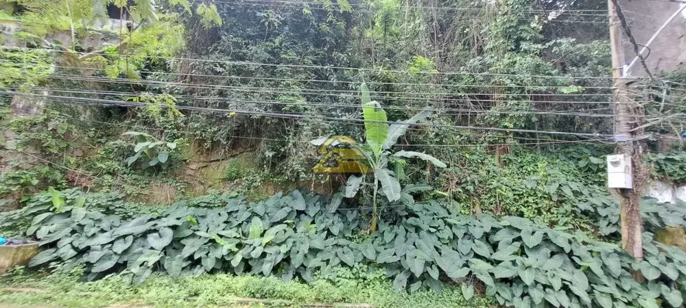 Terreno, 200 m² - Foto 17