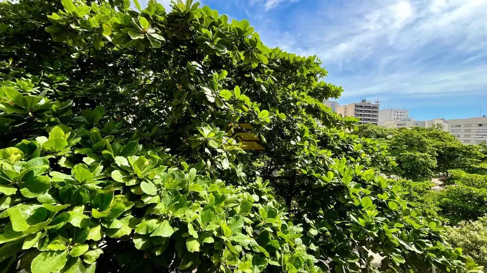 Apartamento, 3 quartos, 164 m² - Foto 28