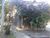 Depósito-Galpão, 125 m² - Foto 2